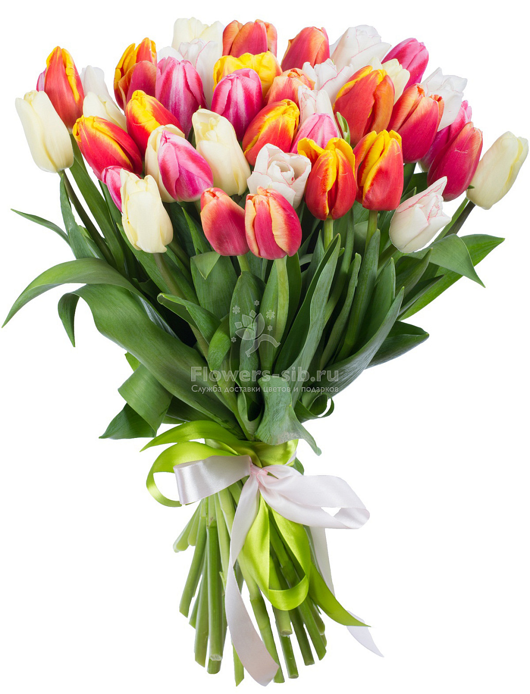 Bouquet of 41 tulips